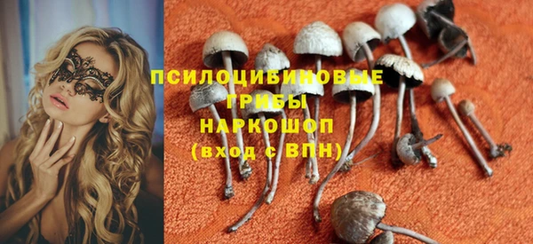 соль курить ск Михайлов