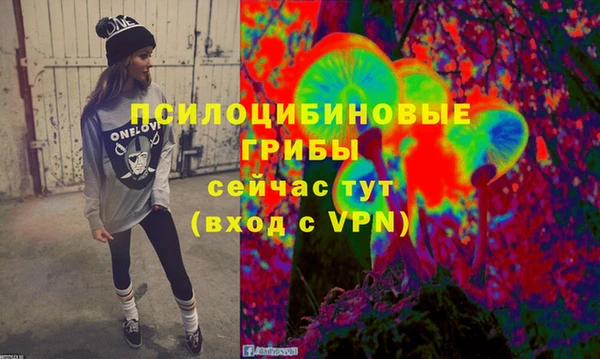 таблы Михайловск