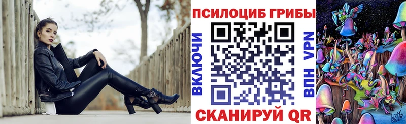 Псилоцибиновые грибы Cubensis  где можно купить   Венёв 